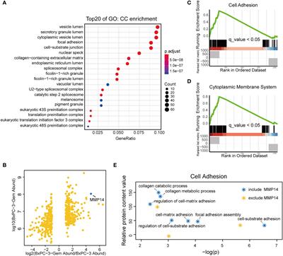 Chemoresistance Transmission via Exosome-Transferred MMP14 in Pancreatic Cancer